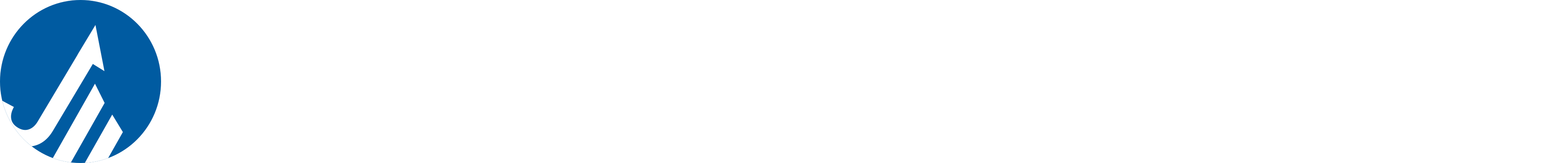 Your Logo
